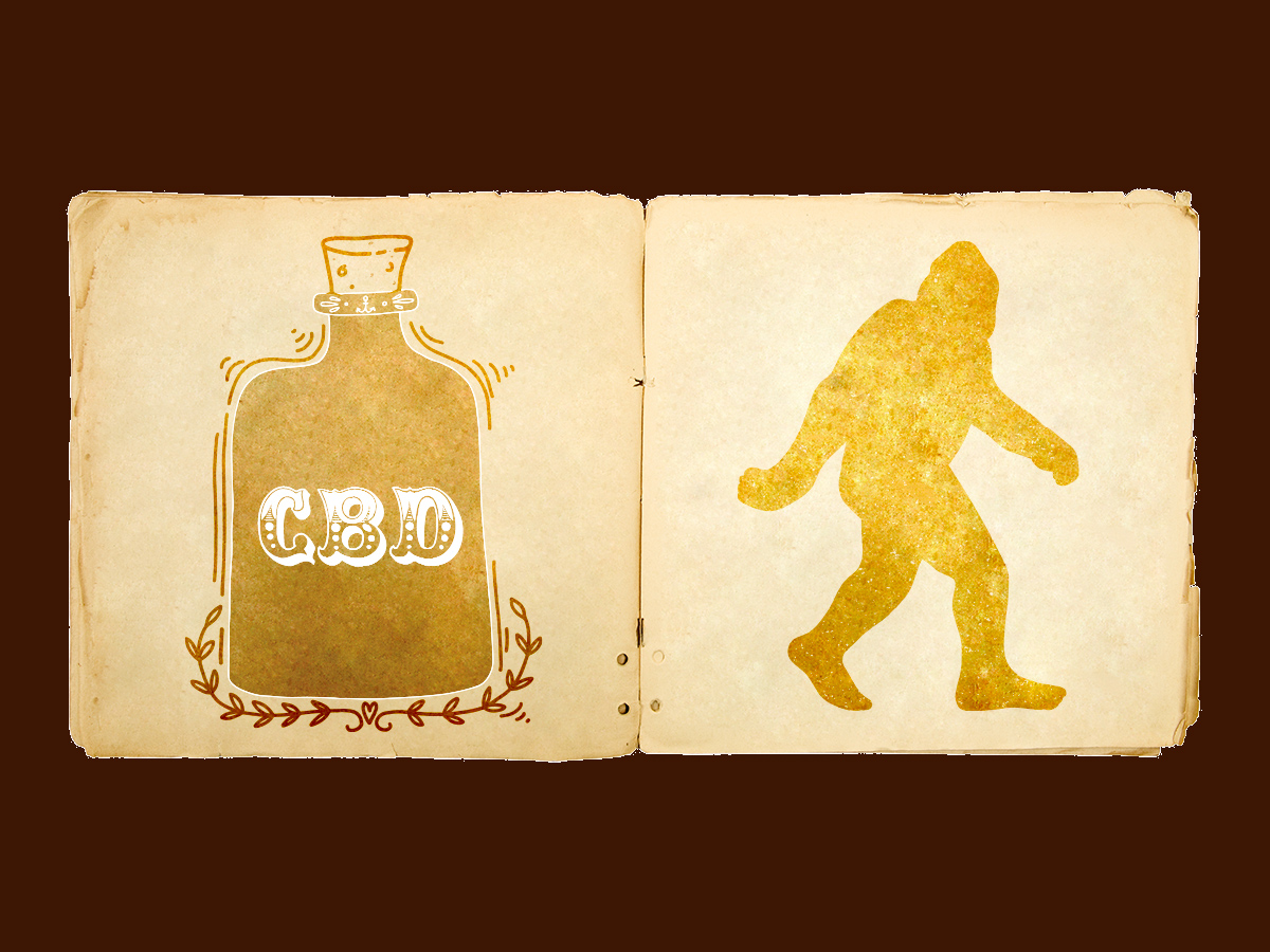 Image for Popular CBD Myths