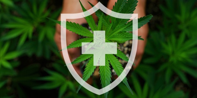 Image for Why is third party testing important?