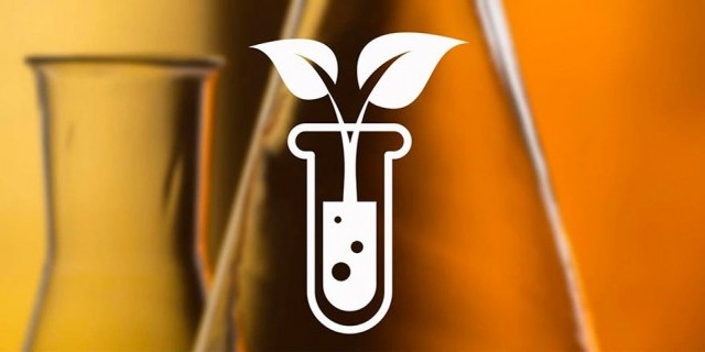 Image for Will taking CBD show-up on a drug test?