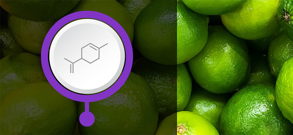 Image for An Introduction to Terpenes article image